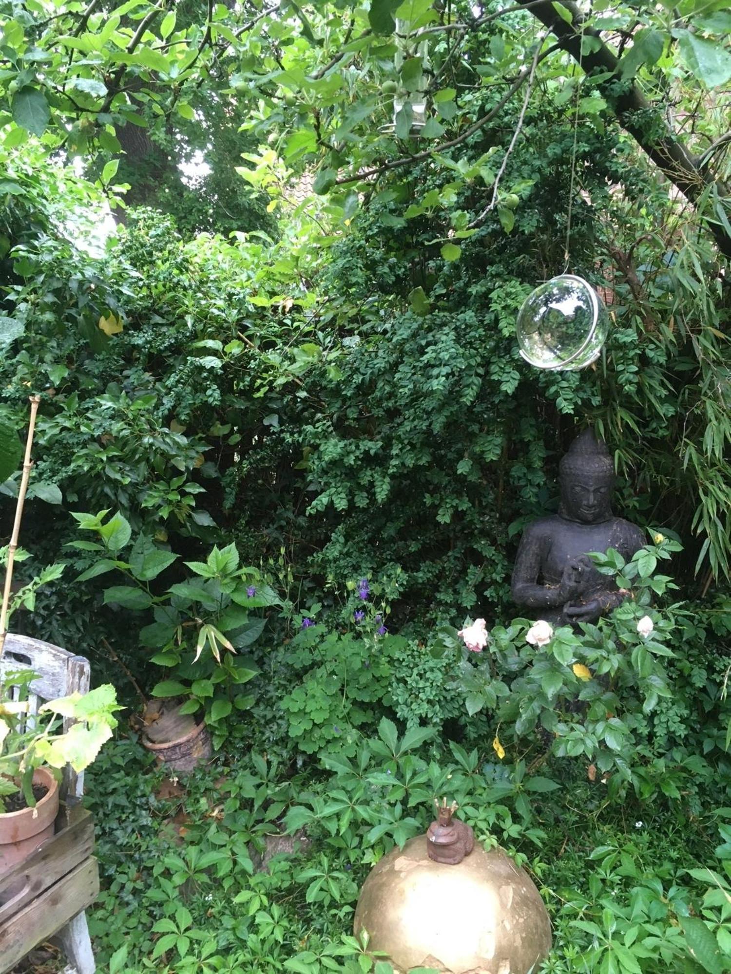 Grosse Hobbithoehle Mit Gemeinschaftsgarten Neustadt am Rübenberge Zewnętrze zdjęcie